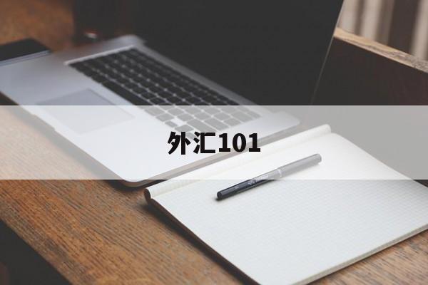 外汇101(外汇110app官方下载)